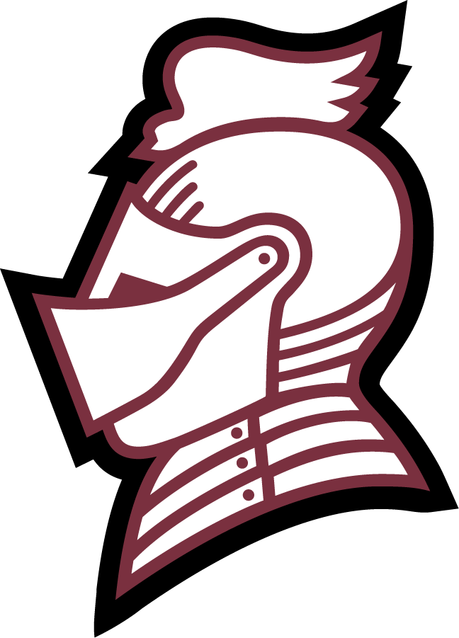 Bellarmine Knights 2010-Pres Secondary Logo v2 diy iron on heat transfer
